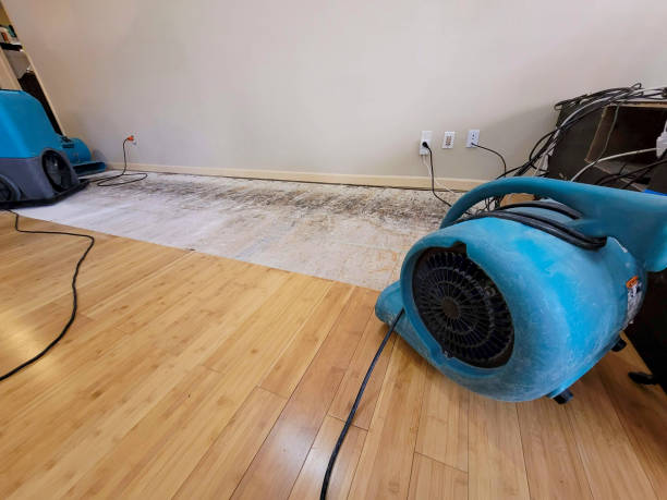 Professional Burst Pipe Water Damage technician working in Maidsville, WV